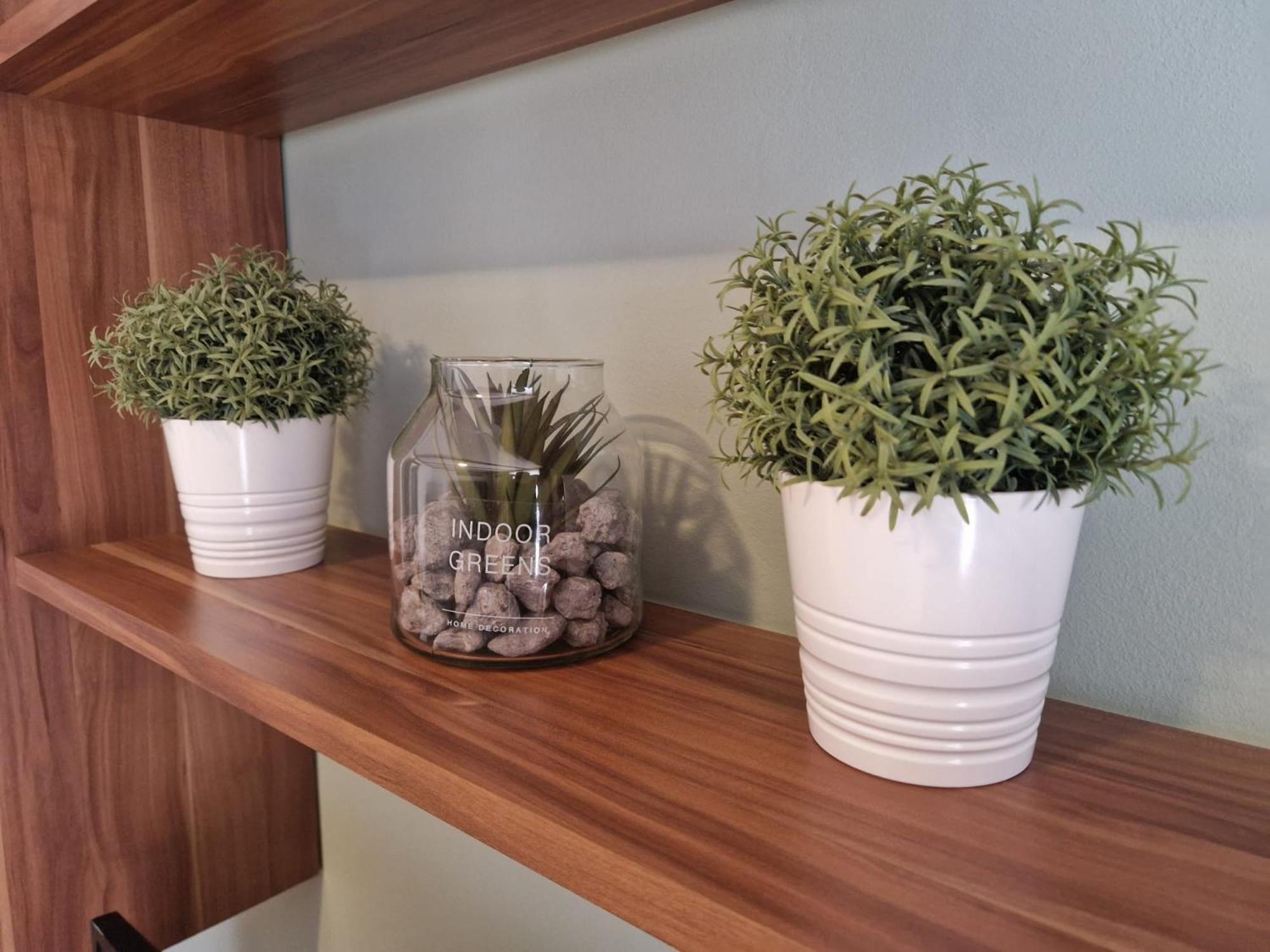 רוביני Tony Apartments מראה חיצוני תמונה